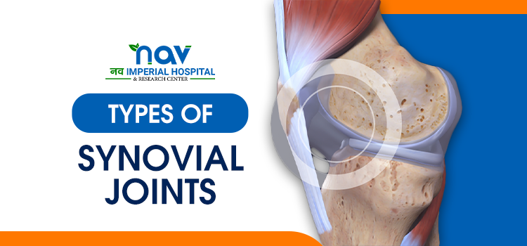 Learn about Types of Synovial Joints and their functions