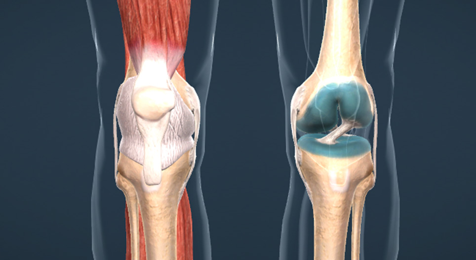 tips-to-keep-knee-healthy