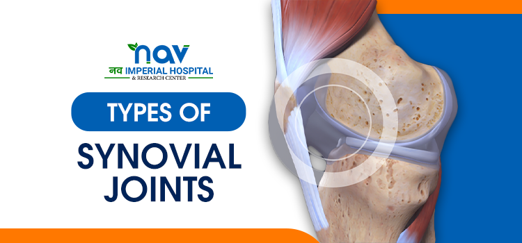 Synovial Joints and their functions